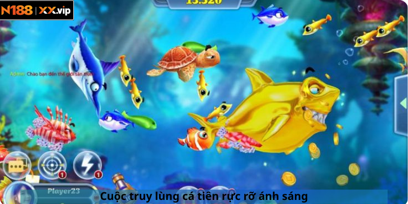 Cuộc truy lùng cá tiên rực rỡ ánh sáng