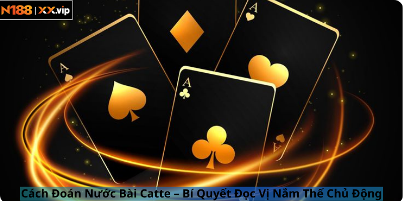 Cách Đoán Nước Bài Catte – Bí Quyết Đọc Vị Nắm Thế Chủ Động